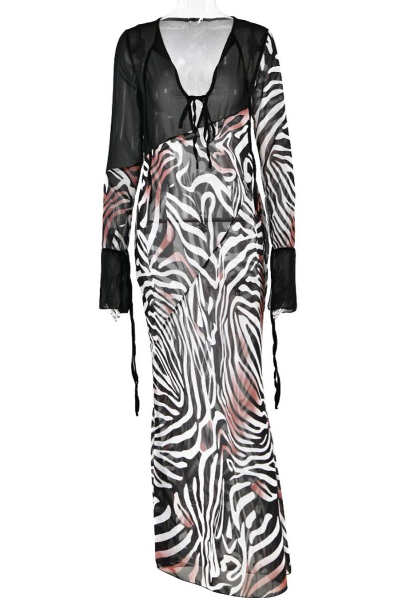 Sheer Zebra Print V-Neck Maxi Dress