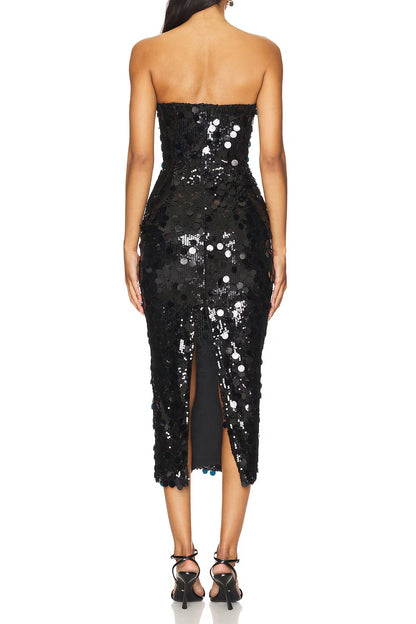 Elegant Sequin Tube Top Lined Midi Dress